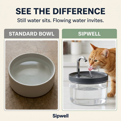 Sipwell Pet Water Fountain