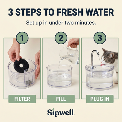 Sipwell Pet Water Fountain
